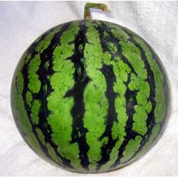 福州西瓜最新爆料,最新爆料揭秘口感与品种大比拼  第2张